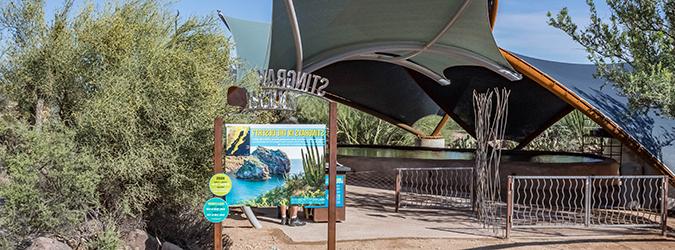 Stingray Touch Exhibit Entrance